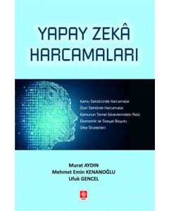 Yapay Zeka Harcamaları
