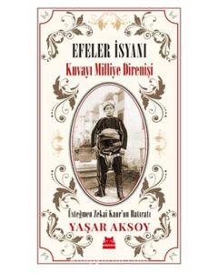 Efeler İsyanı - Kuvayı Milliye Direnişi