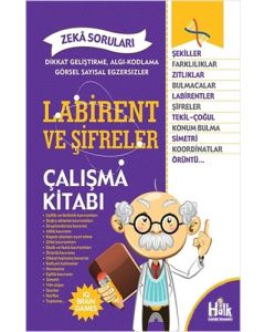 Labirent ve Şifreler