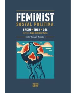 Feminist Sosyal Politika