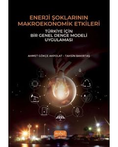 Enerji Şoklarının Makroekonomik Etkileri