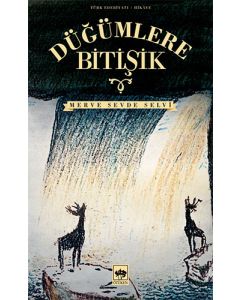 Düğümlere Bitişik