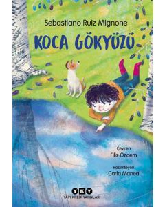 Koca Gökyüzü