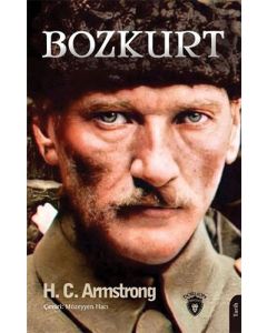Bozkurt