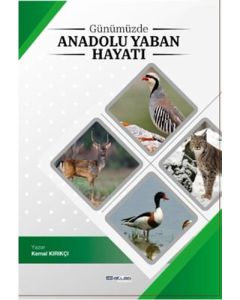 Günümüzde Anadolu Yaban Hayatı