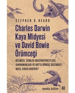 Charles Darwin Kaya Midyesi ve David Bowie Örümceği