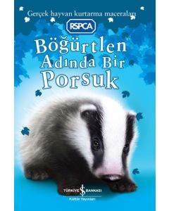 Böğürtlen Adasında Bir Porsuk 