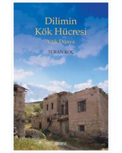 Dilimin Kök Hücresi