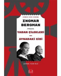 Yaban Çilekleri - Aynadaki Gibi