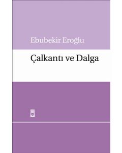 Çalkantı ve Dalga