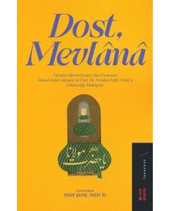 Dost, Mevlana