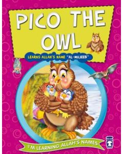 Pico the Owl - Learns Allah's Name Al Mujeeb