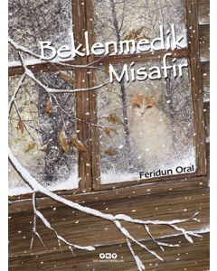 Beklenmedik Misafir