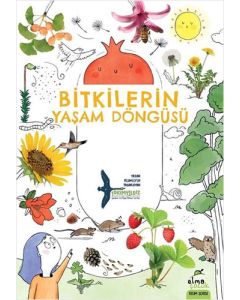Bitkilerin Yaşam Döngüsü