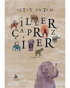 Filler Çapraz Gider