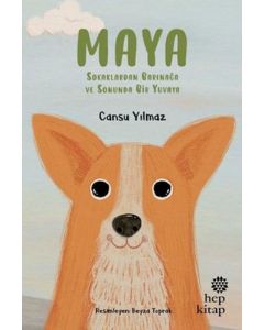 Maya - Sokaklardan Barınağa ve Sonunda Bir Yuvaya