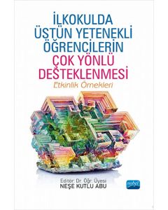 İlkokulda Üstün Yetenekli Öğrencilerin Çok Yönlü Desteklenmesi