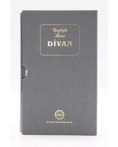 Eşrefoğlu Rumi Divan (Ciltli)