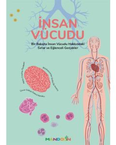 İnsan Vücudu