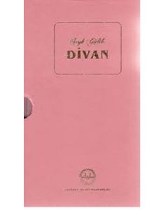 Şeyh Galib Divanı (Ciltli)