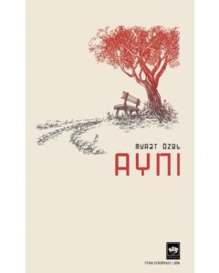 Aynı