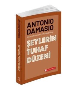 Şeylerin Tuhaf Düzeni