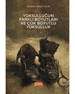 Yoksulluğun Farklı Boyutları ve Çok Boyutlu Yoksulluk
