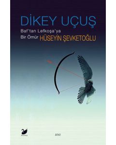 Dikey Uçuş