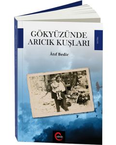 Gökyüzünde Arıcık Kuşları