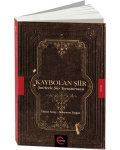 Kaybolan Şiir