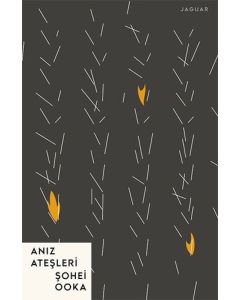 Anız Ateşleri