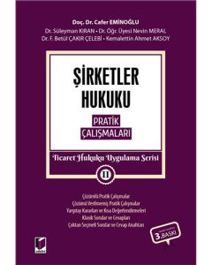 Şirketler Hukuku Pratik Çalışmaları