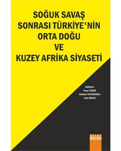 Soğuk Savaş Sonrası Türkiye'nin Orta Doğu ve Kuzey Afrika Siyaseti