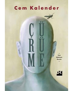 Çürüme 