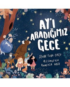 Ay’ı Aradığımız Gece