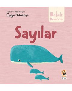 Bebek Üniversitesi: Hikâyeli İlk Kavramlarım 2 - Sayılar