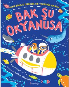 Bak Şu Okyanusa