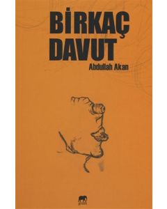 Birkaç Davut