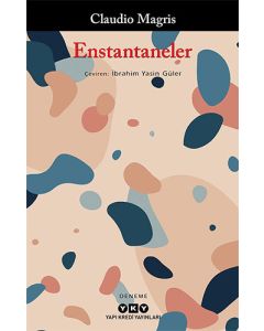 Enstantaneler