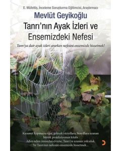 Tanrı'nın Ayak İzleri ve Ensemizdeki Nefesi