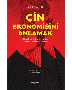 Çin Ekonomisini Anlamak