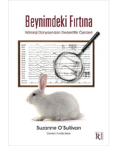 Beynimdeki Fırtına