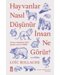 Hayvanlar Nasıl Düşünür İnsanlar Ne Görür?