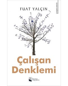 Çalışan Denklemi