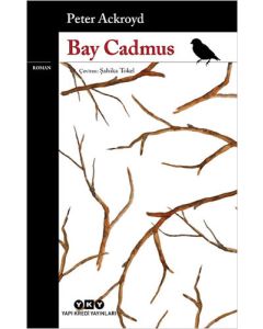 Bay Cadmus