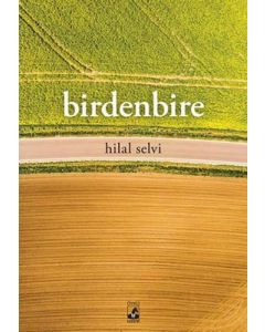 Birdenbire