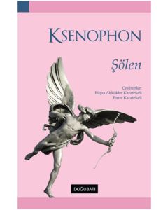 Şölen