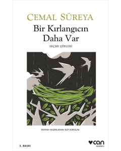 Bir Kırlangıcın Daha Var