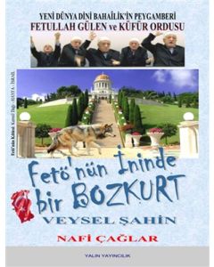 Fetö'nün İninde Bir Bozkurt: Veysel Şahin
