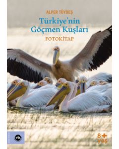 Türkiye’nin Göçmen Kuşları